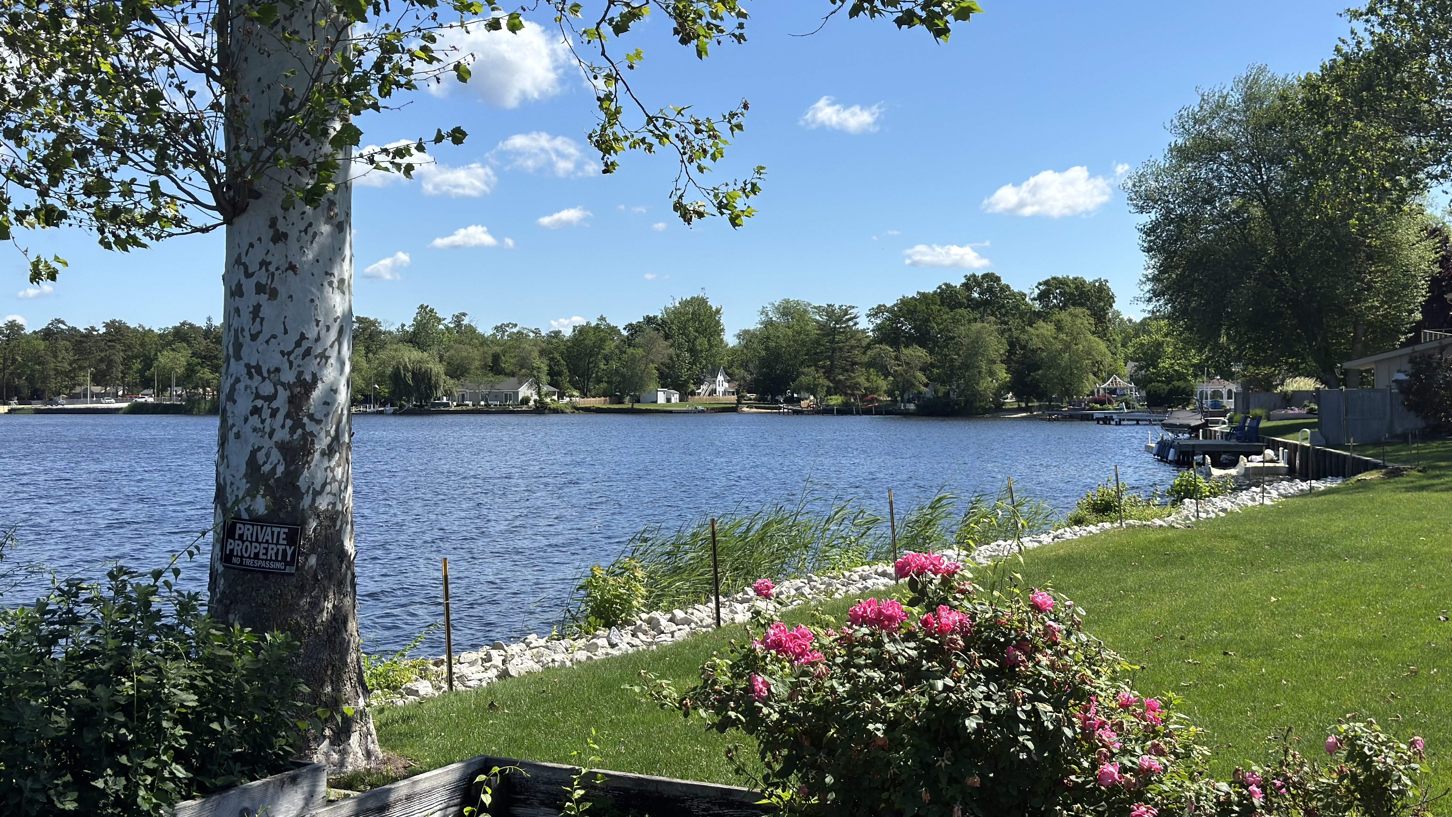 Roses along the river in Mays Landing, South Jersey